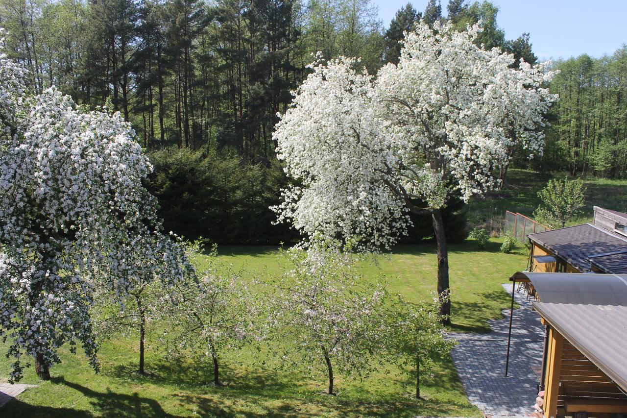 Paliepgiris Otel Palanga Dış mekan fotoğraf